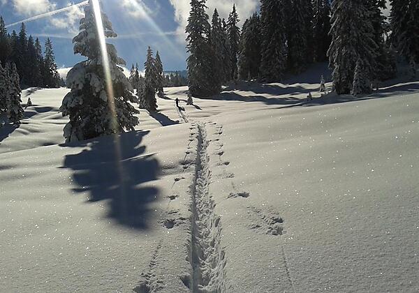 Winterlandschaft im Allgäu