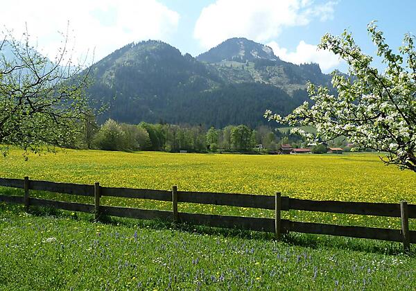 Ausblick vom Wohn- und Schlafzimmer
