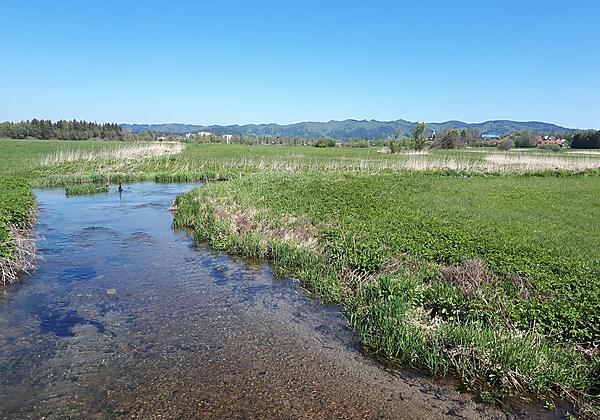 Vogelschutzgebiet Bodenmöser