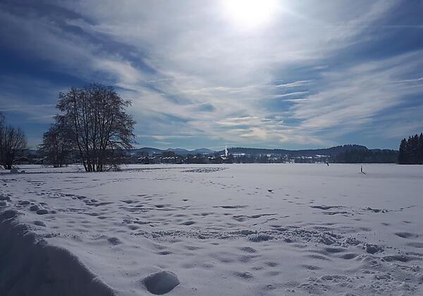 Blick von Neutrauchburg