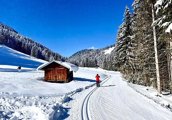 Winterfreuden auf der Loipe