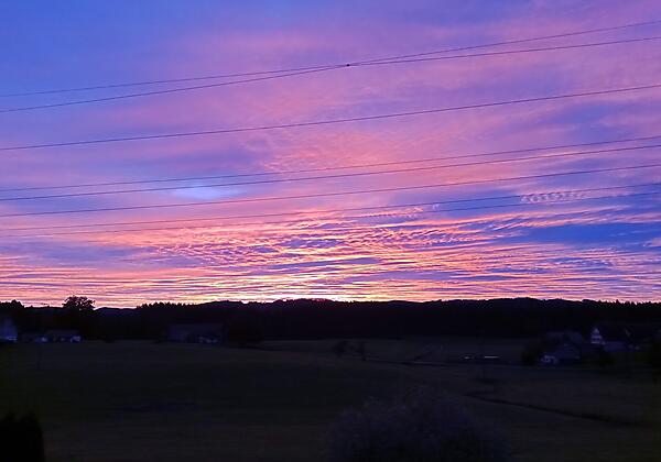 IMG_20211019_073706_739