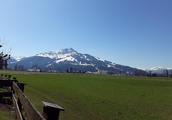 PHOTO-2023-03-28-11-17-663