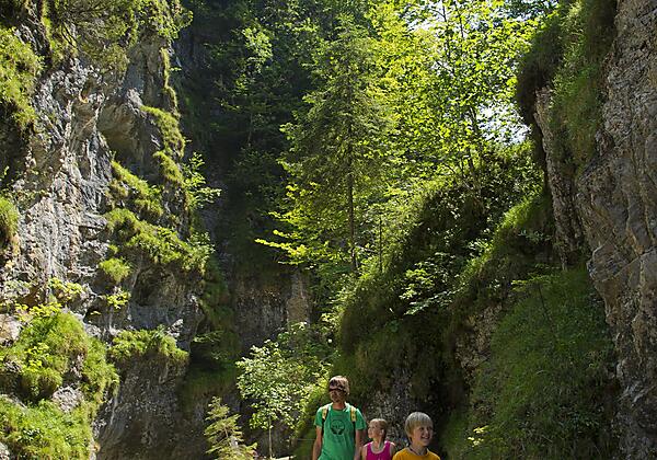 0682-13 ©FranzGERDL _REG-St.Johann 0703