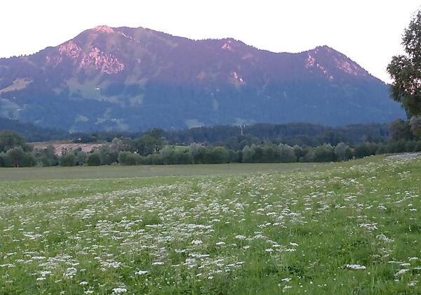 Grünten im Abendglühn
