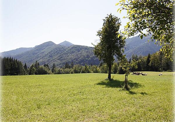 Fotogalerie Sommer - Burgi Ebner