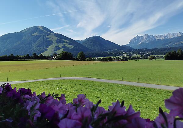 Ausblick Balkon Unterberg-Ferienwohnung Waldesruh