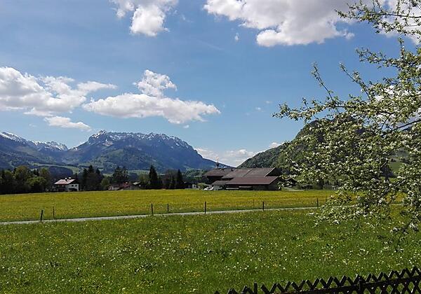 Ferienwohnung Waldesruh Ausblick