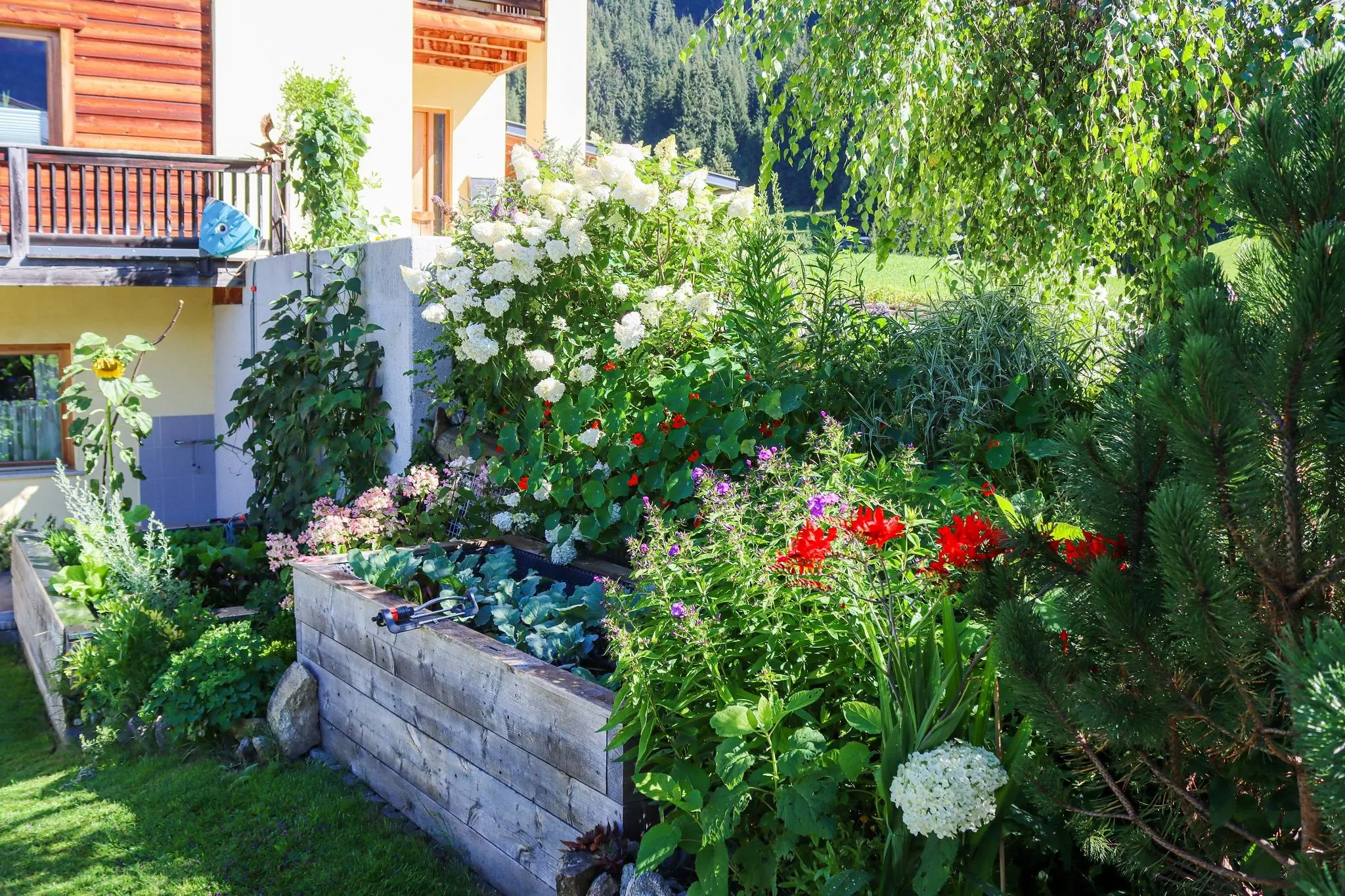 Garten