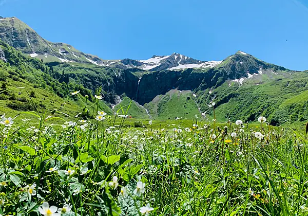Sommer