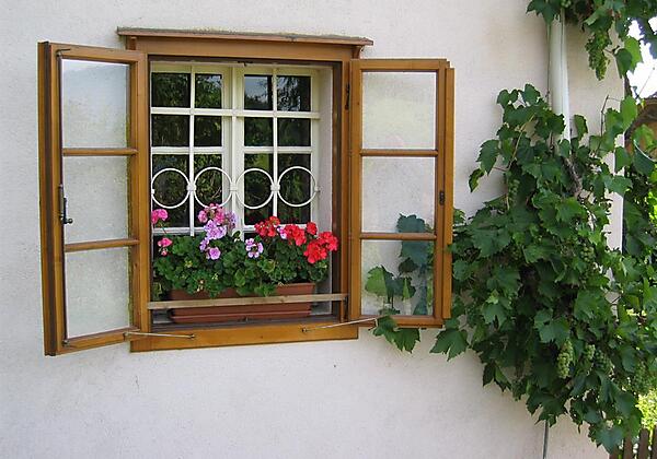 Das Jahrhunderte alte Fenster