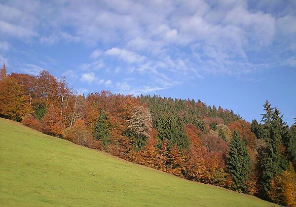 Hinterm Haus im Herbst