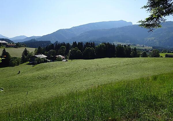Absolute Ruhe - Ferienwohnung Dagn