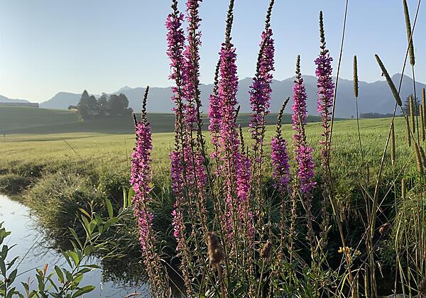 Sonnenaufgang in Tiefenberg