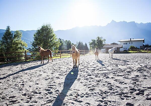 haderlehn_2016_72dpi_danielzangerl (64 von 81)