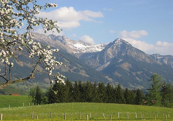 Frühling in Fischen