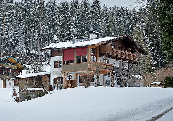 Appartement-Haus-Fink-Going-Wochenbrunnweg-51-Seba