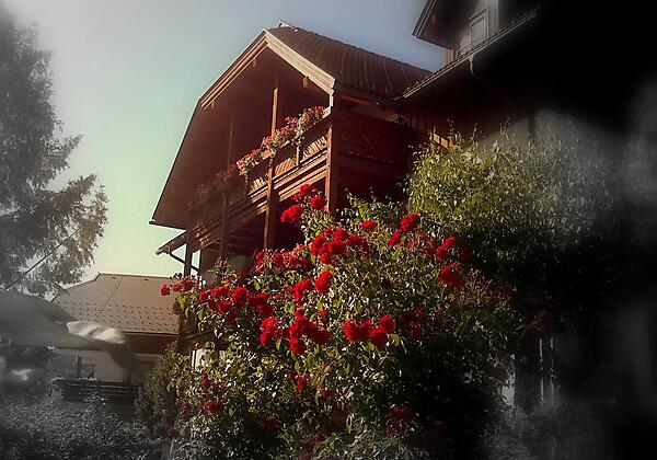 Fischerhaus im Sommer