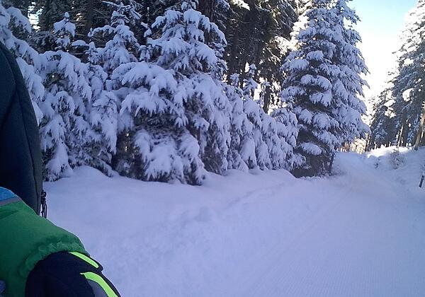 Auf geht's zur Rodelpartie