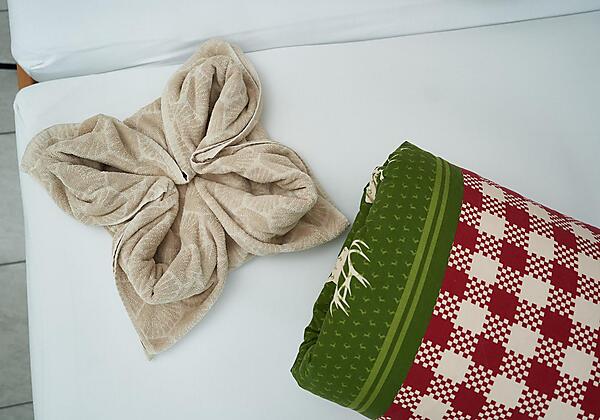 202780710_810858762870225_480513287041209928_n