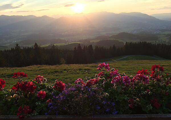 Abendstimmung am Berg