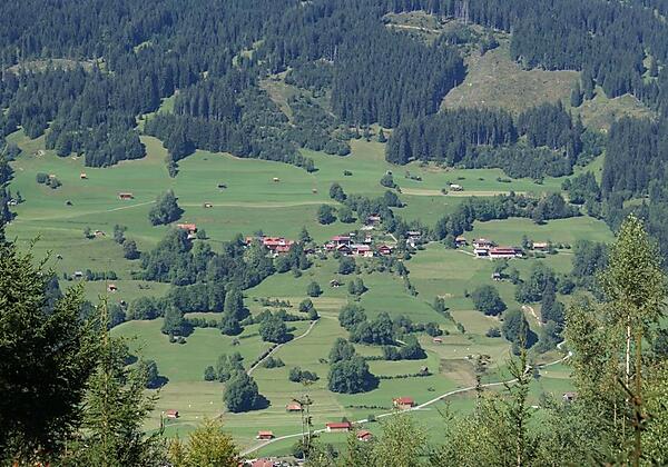 Blühende Wiese