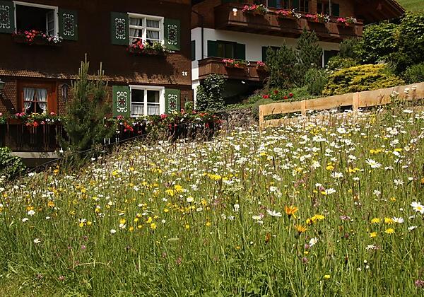 AusblickBalkon