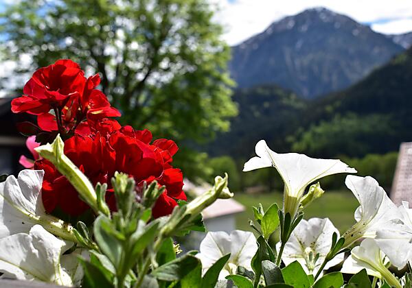 Bergblick - Balkon Gästehaus Eberhart