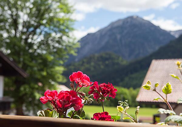 Gästehaus Eberhart Blick auf die Rotspitze