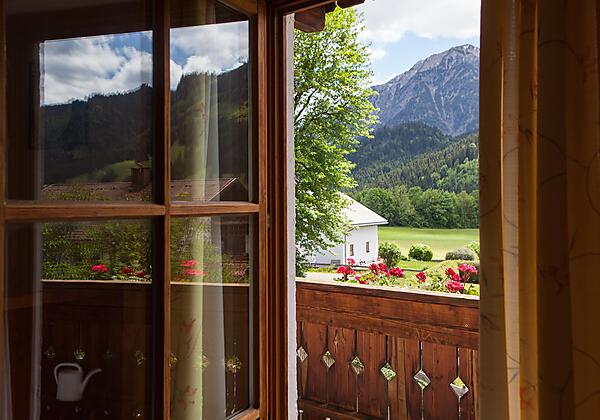 Gästehaus Eberhart Blick nach draußen