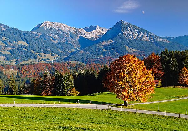 {66c66fc2-d1ac-cbe3-31ad-69a3c238369c}