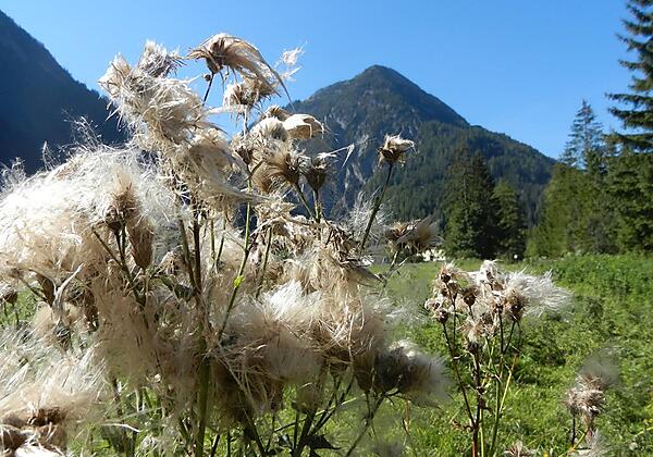 Ferienw.neu Bilder 017