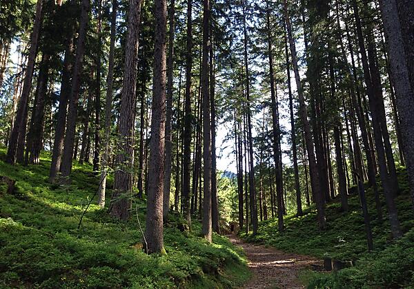 Eindruck vom Slow Trail Zwergsee