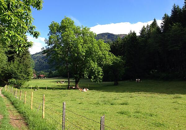 Eindruck vom Slow Trail Zwergsee