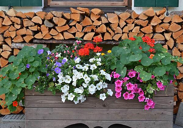 2015-07 Hainzbauer (3)