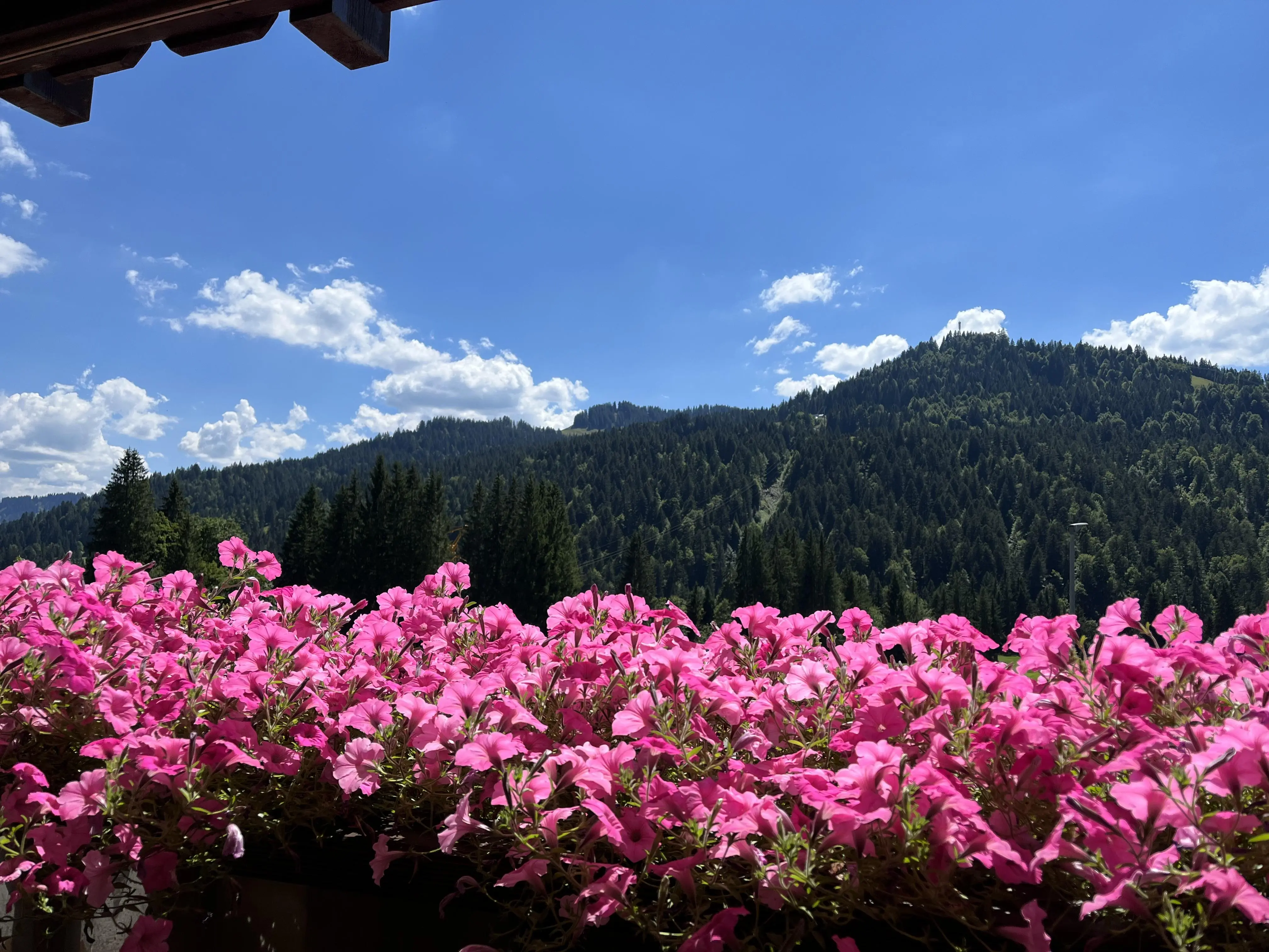 Aussicht