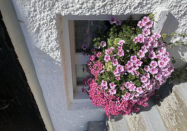 Gästehaus Nußbaumer