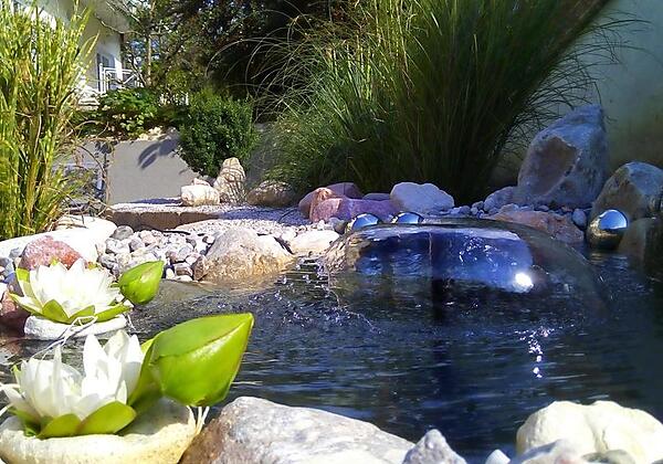 Gästehaus Waldeck Aussenanlage