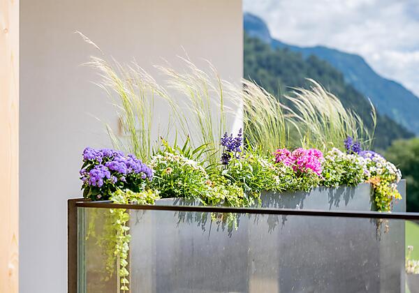 kaiserterrasse_gasthaus_hotel_rieder_achensee_tiro