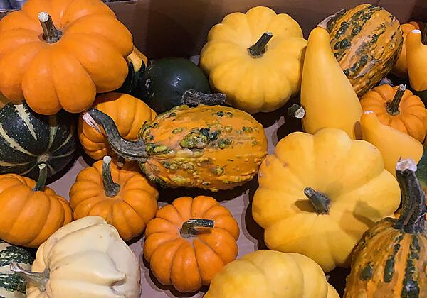 DEBC85AB-29F0-4423-96E4-FCA71FEB7D62