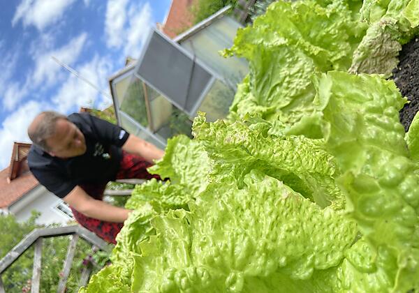 Zum Mohr'n Gasthaus-Pension Tanner, Hausgarten
