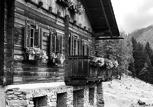 Almhütte "Gipper" schwarz weiß