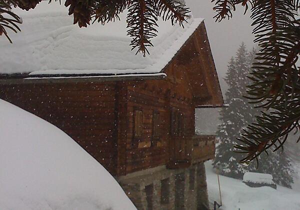 Natur pur...