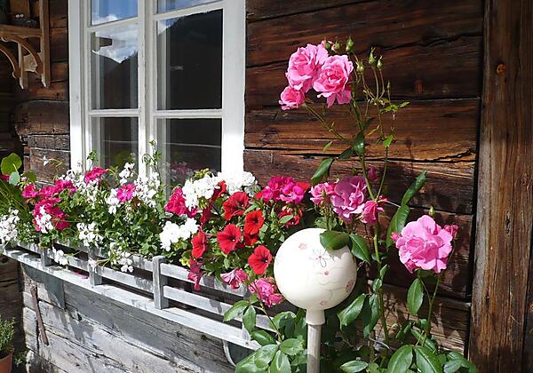 Blumen machen Freude