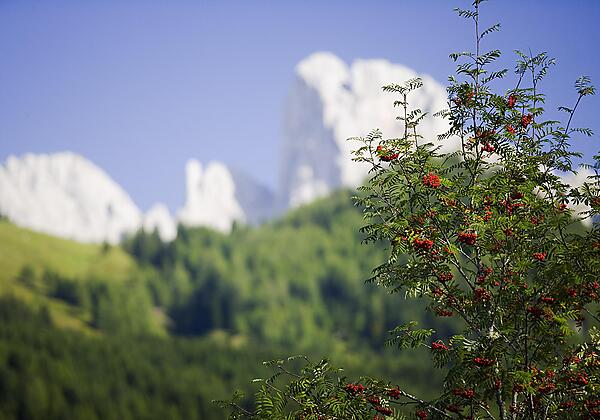 Wandermöglichkeiten vom Feinsten