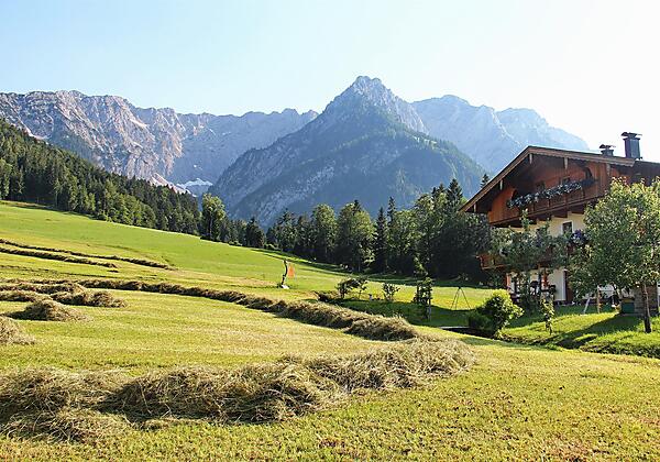 Goferlhof Sommer