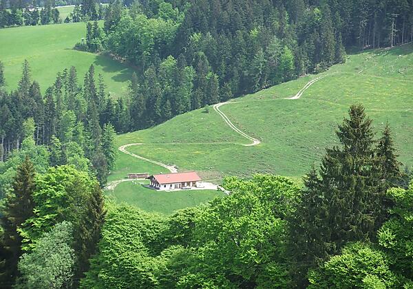 Kaiserwinkl, Walchsee, Goglalm 4
