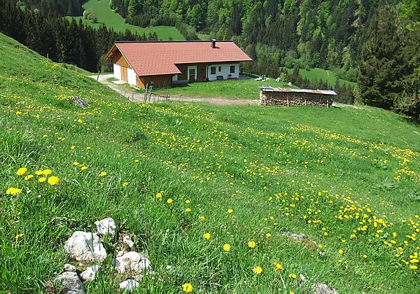 Kaiserwinkl, Walchsee, Goglalm 1