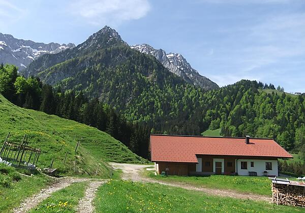 Kaiserwinkl, Walchsee, Goglalm 2