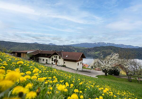 152--web_Götzfriedhof_by_Gert_Perauer